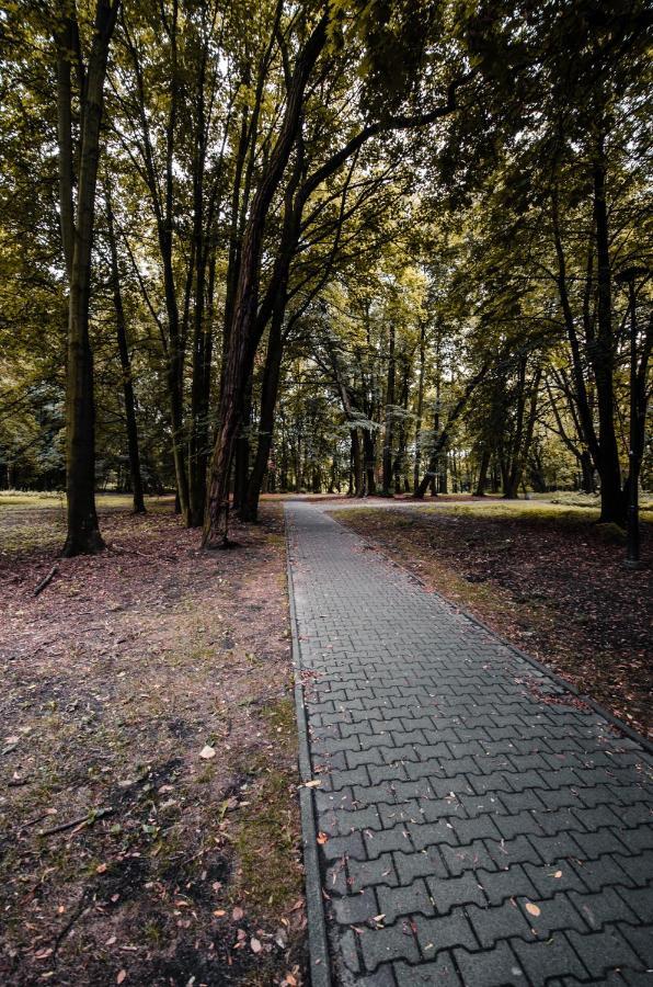 Siemianowice Śląskie Apartament Deluxe Arcon מראה חיצוני תמונה